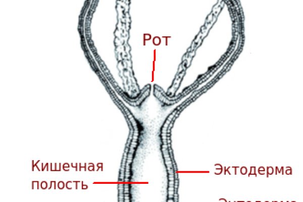 Ссылка блэкспрут bs2onion org