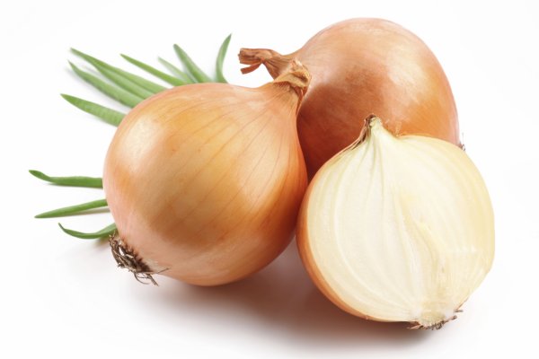 Black sprut зеркала onion