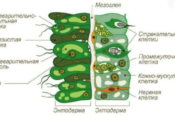 Блекспрут 2fa blacksprute com